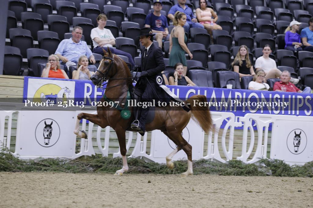 Proof Number 25R13_02097