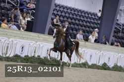 25R13_02101 thumbnail