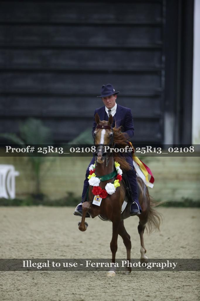 Proof Number 25R13_02108