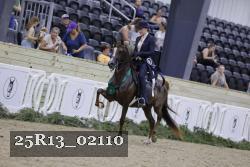 25R13_02110 thumbnail