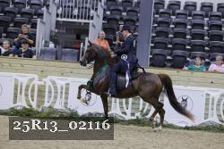 25R13_02116 thumbnail