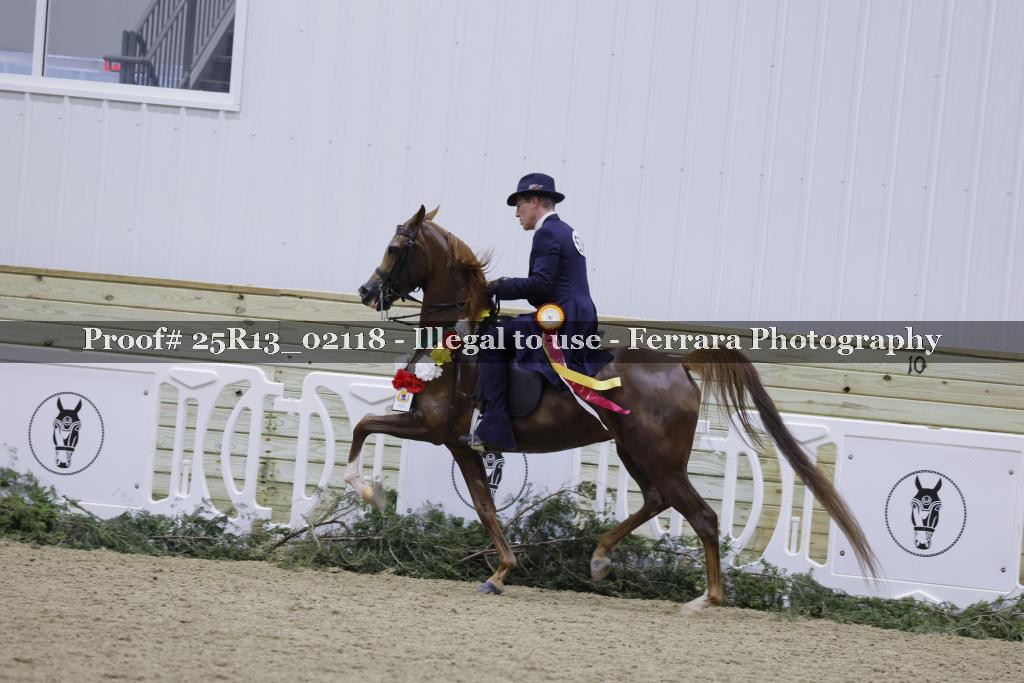 Proof Number 25R13_02118