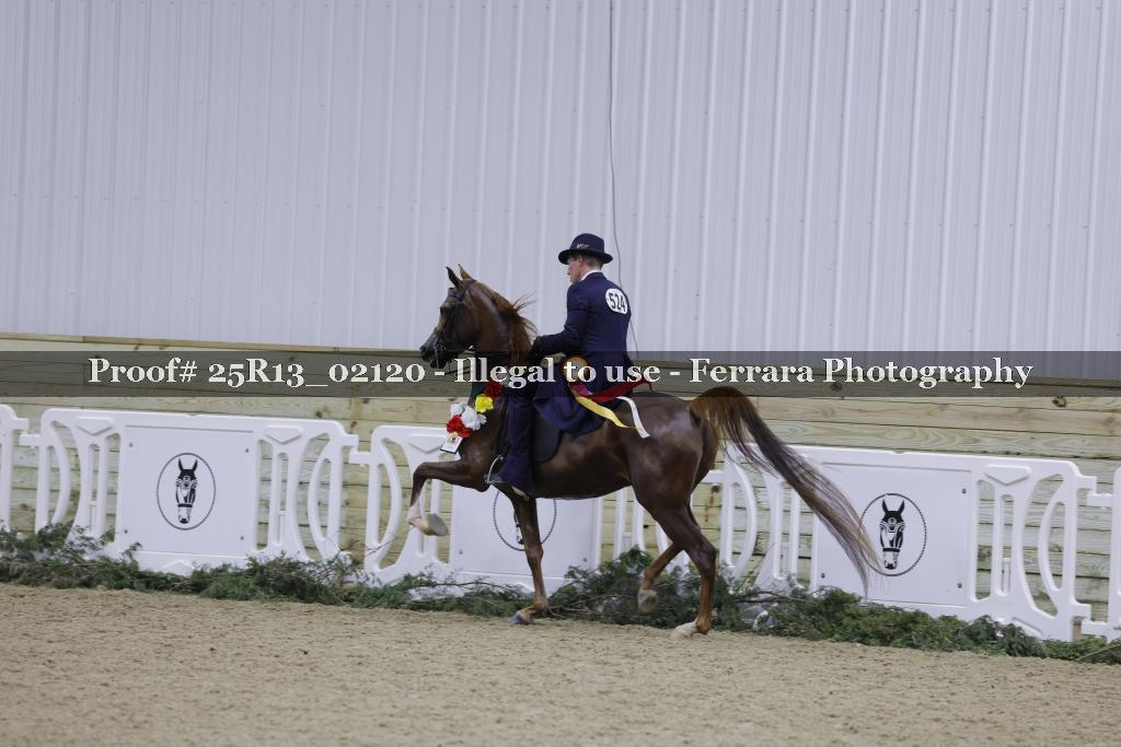 Proof Number 25R13_02120