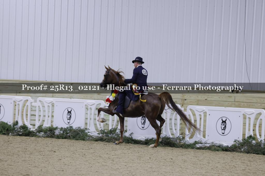 Proof Number 25R13_02121