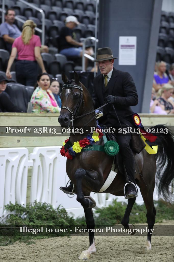 Proof Number 25R13_02123