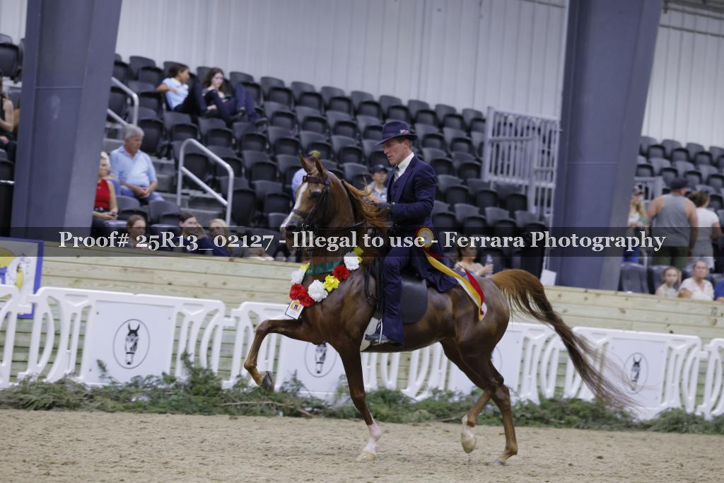 Proof Number 25R13_02127