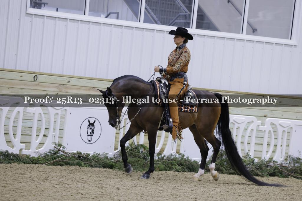Proof Number 25R13_02313