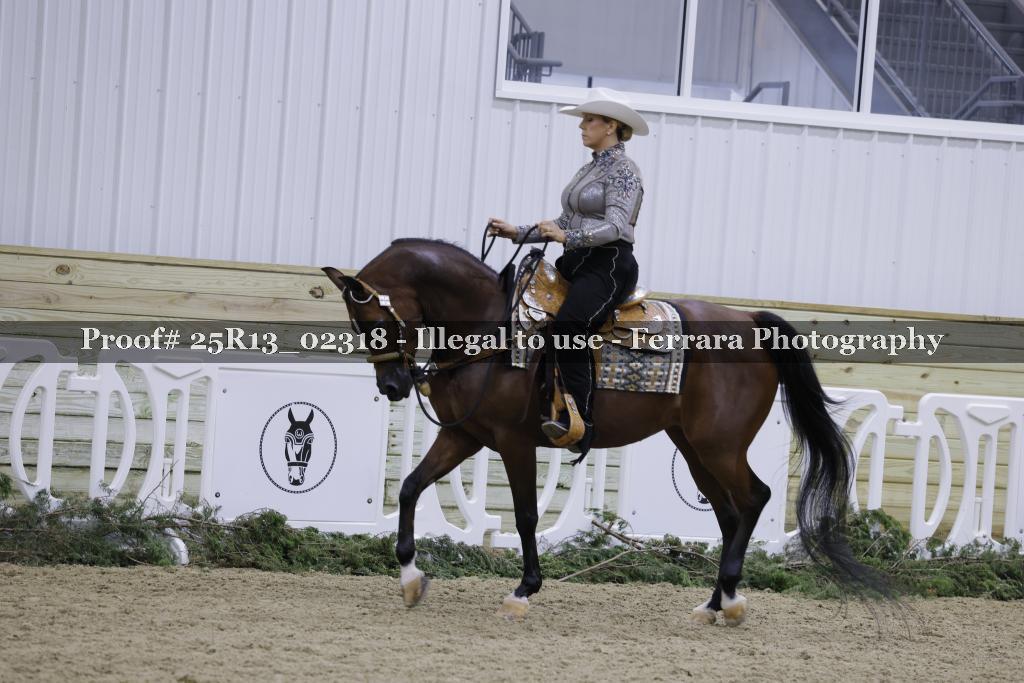 Proof Number 25R13_02318