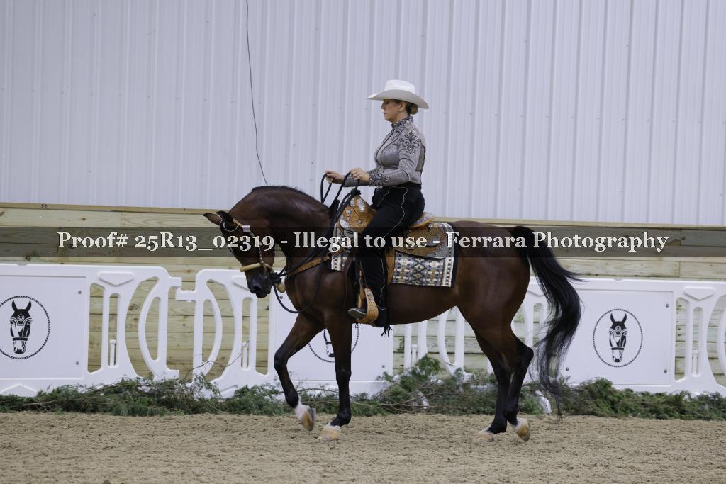 Proof Number 25R13_02319
