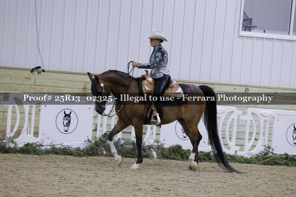 Proof Number 25R13_02325