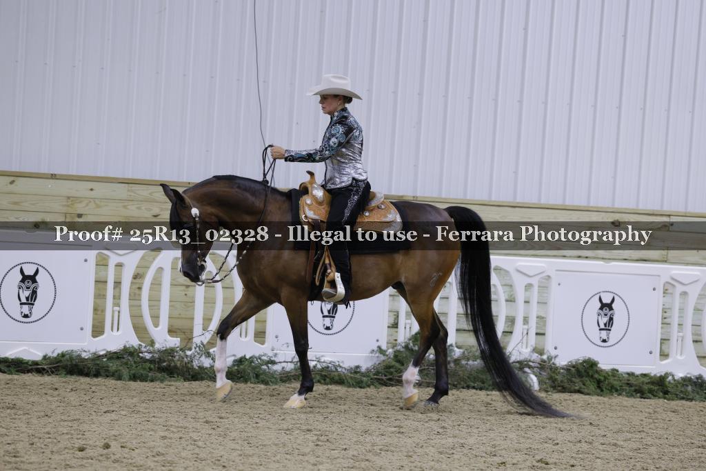 Proof Number 25R13_02328