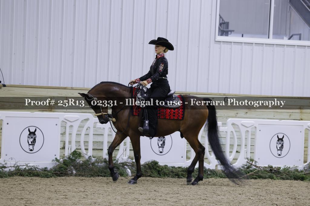 Proof Number 25R13_02331