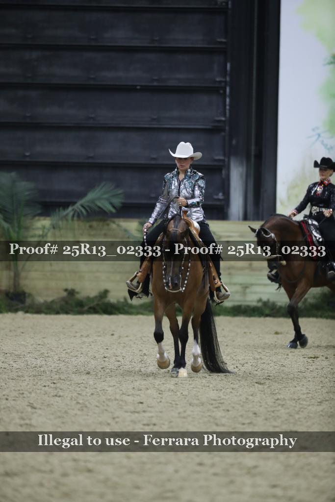 Proof Number 25R13_02333