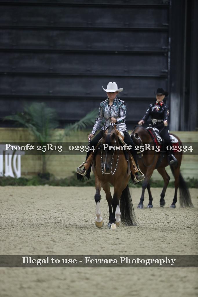 Proof Number 25R13_02334