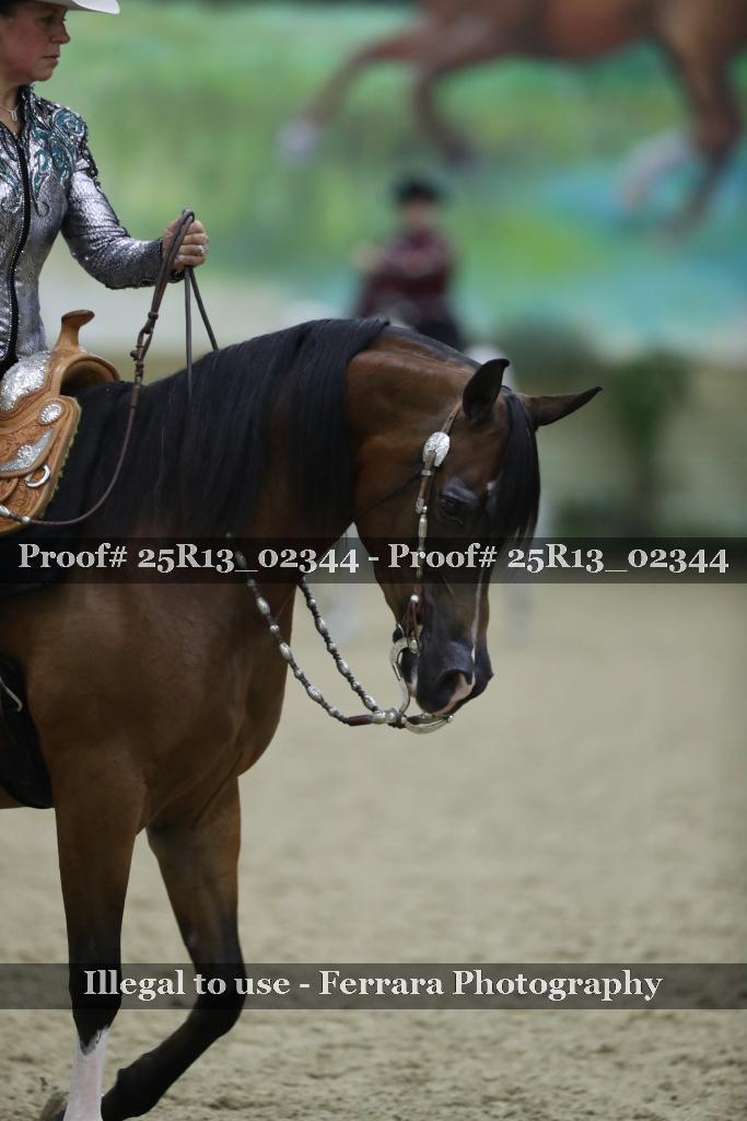 Proof Number 25R13_02344