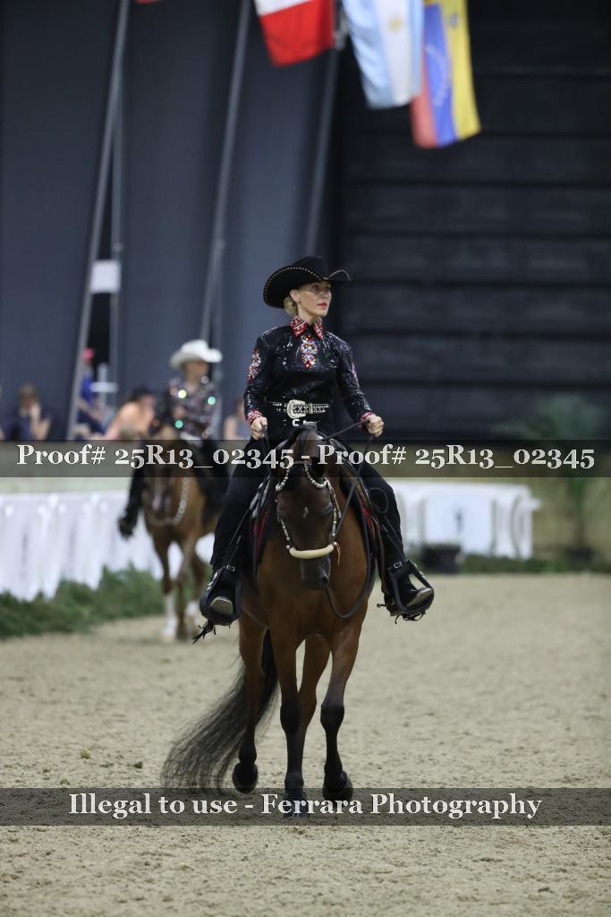 Proof Number 25R13_02345