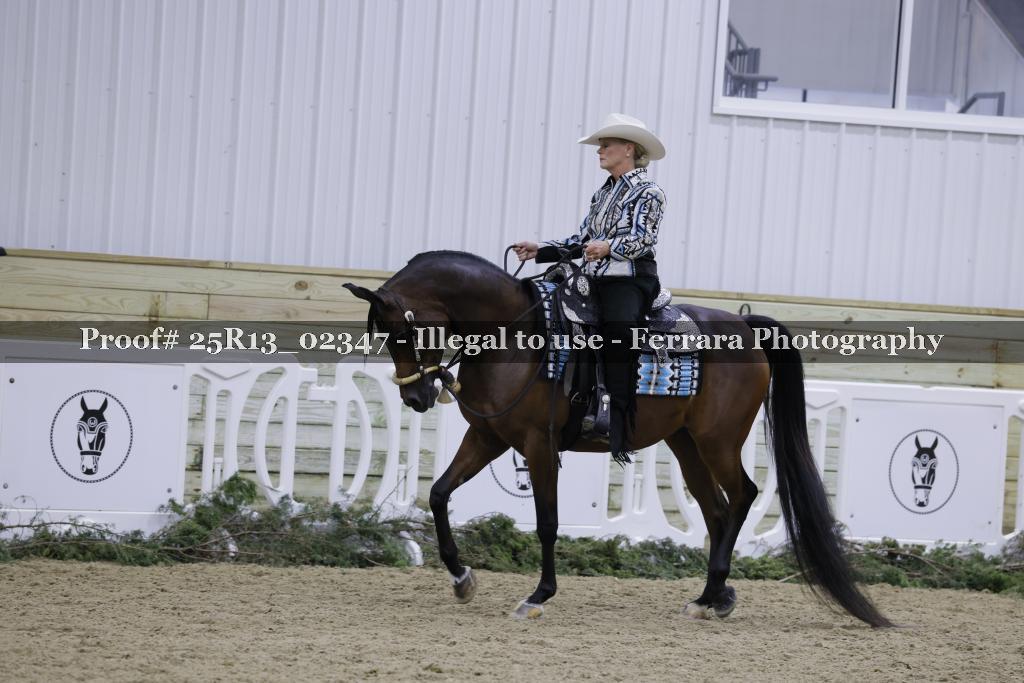 Proof Number 25R13_02347