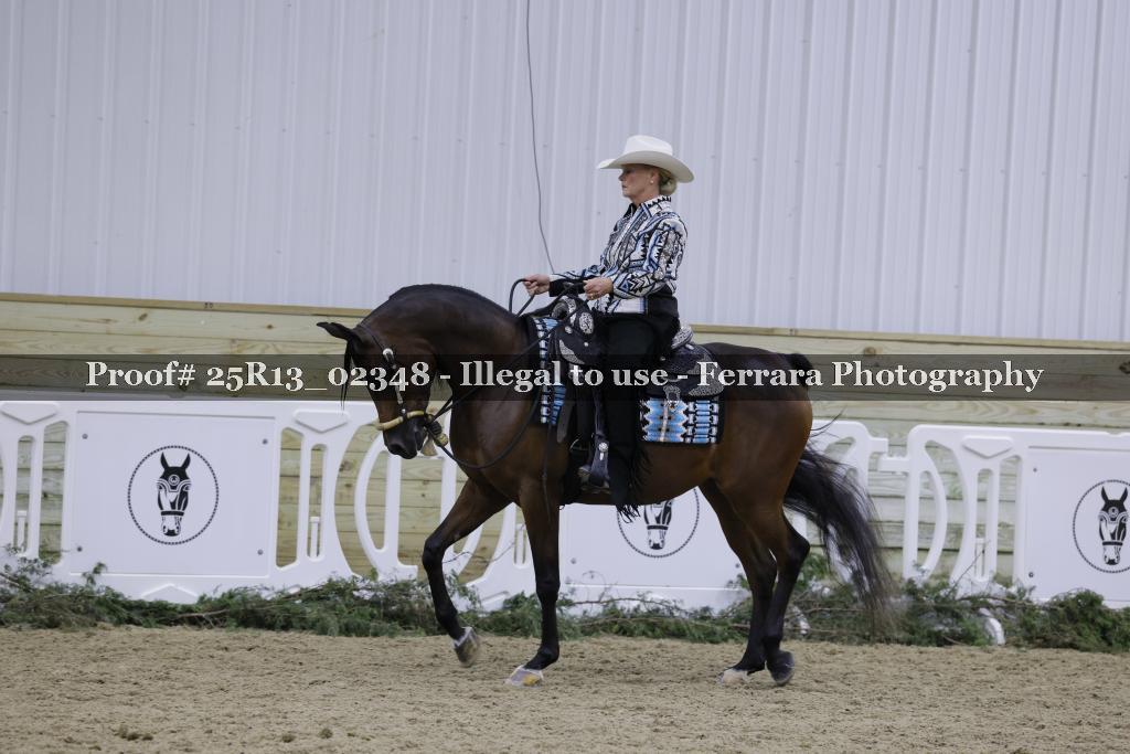 Proof Number 25R13_02348