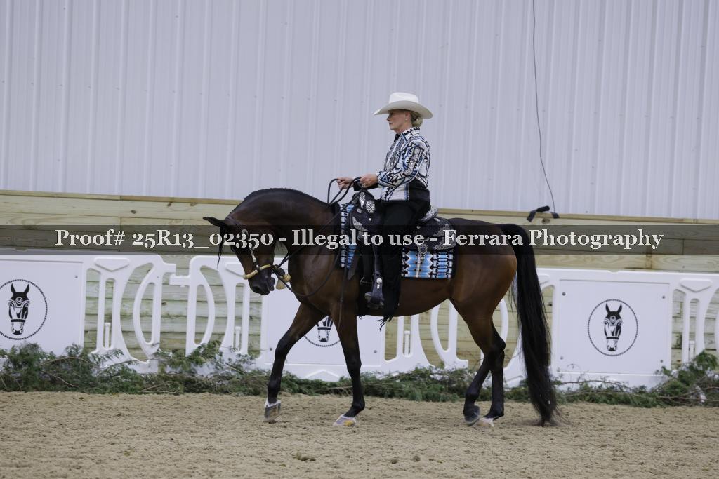 Proof Number 25R13_02350