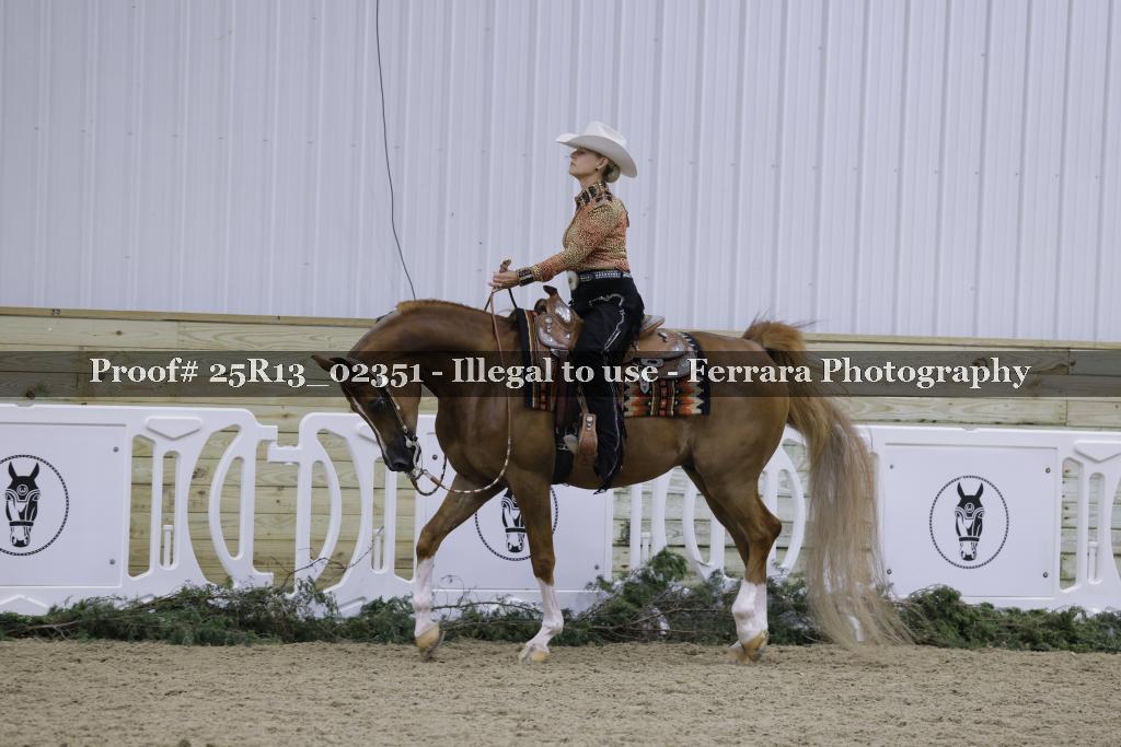 Proof Number 25R13_02351