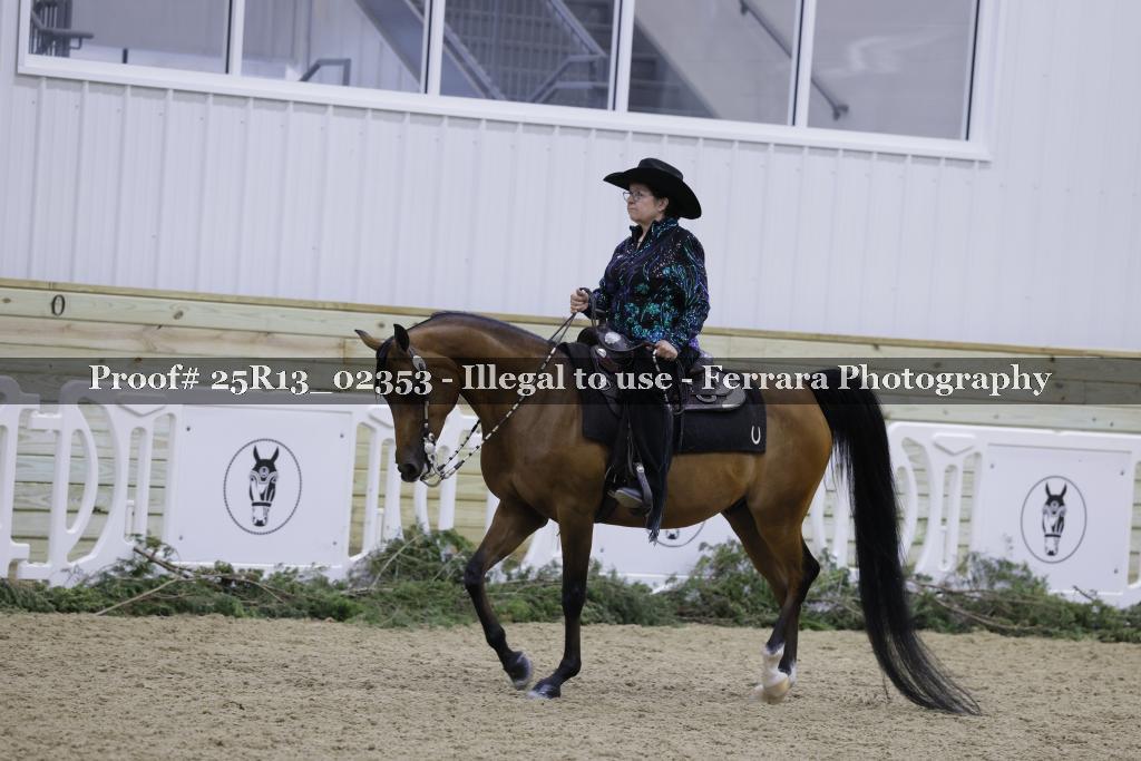 Proof Number 25R13_02353