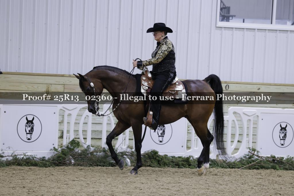 Proof Number 25R13_02360