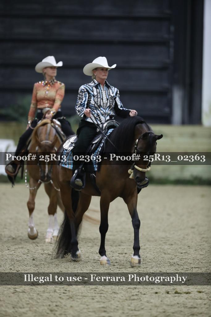 Proof Number 25R13_02363