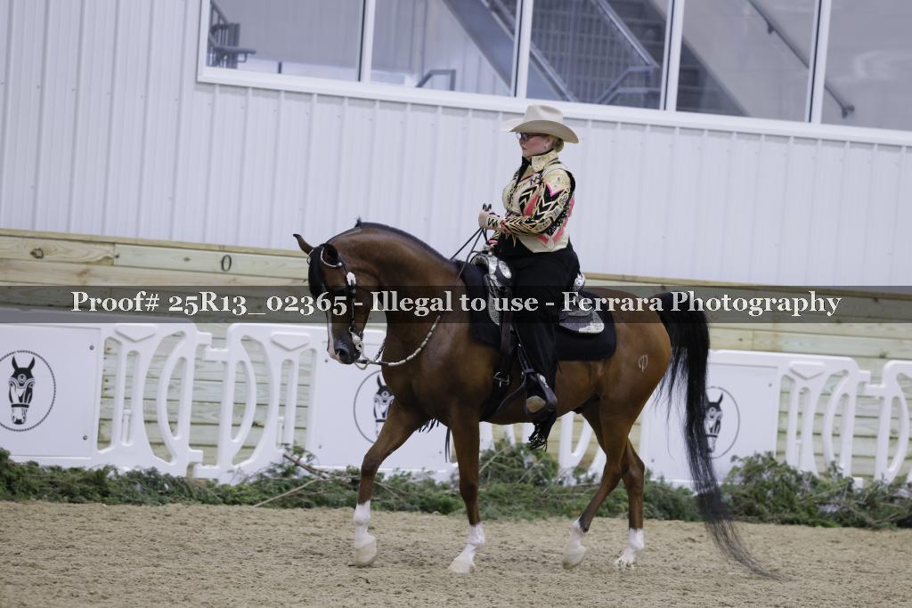 Proof Number 25R13_02365