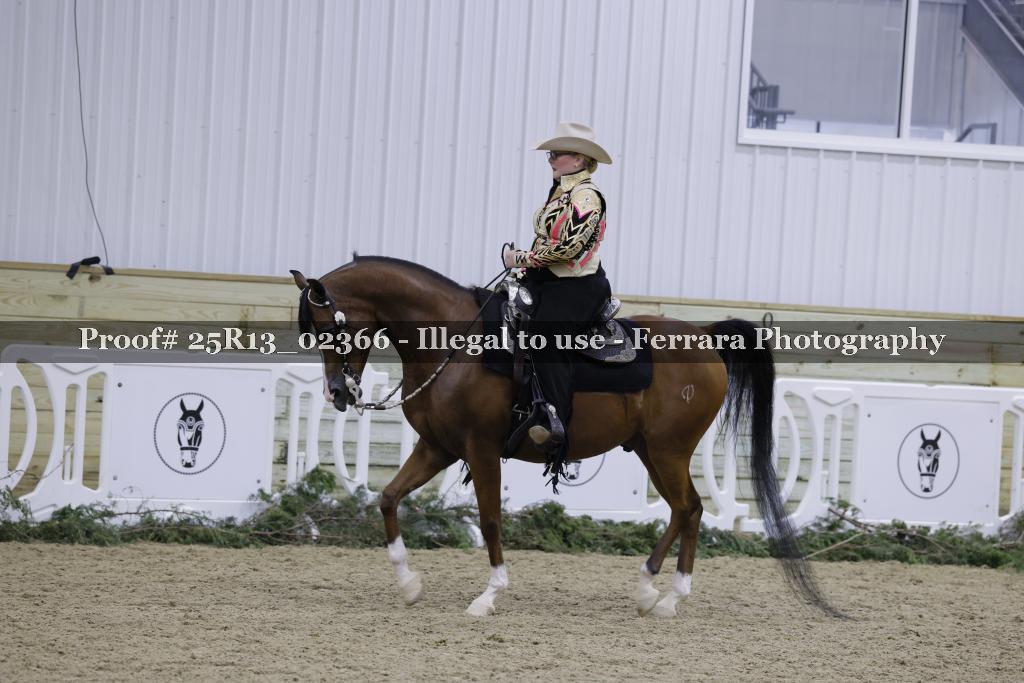 Proof Number 25R13_02366
