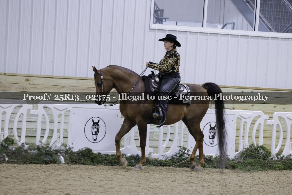 Proof Number 25R13_02375