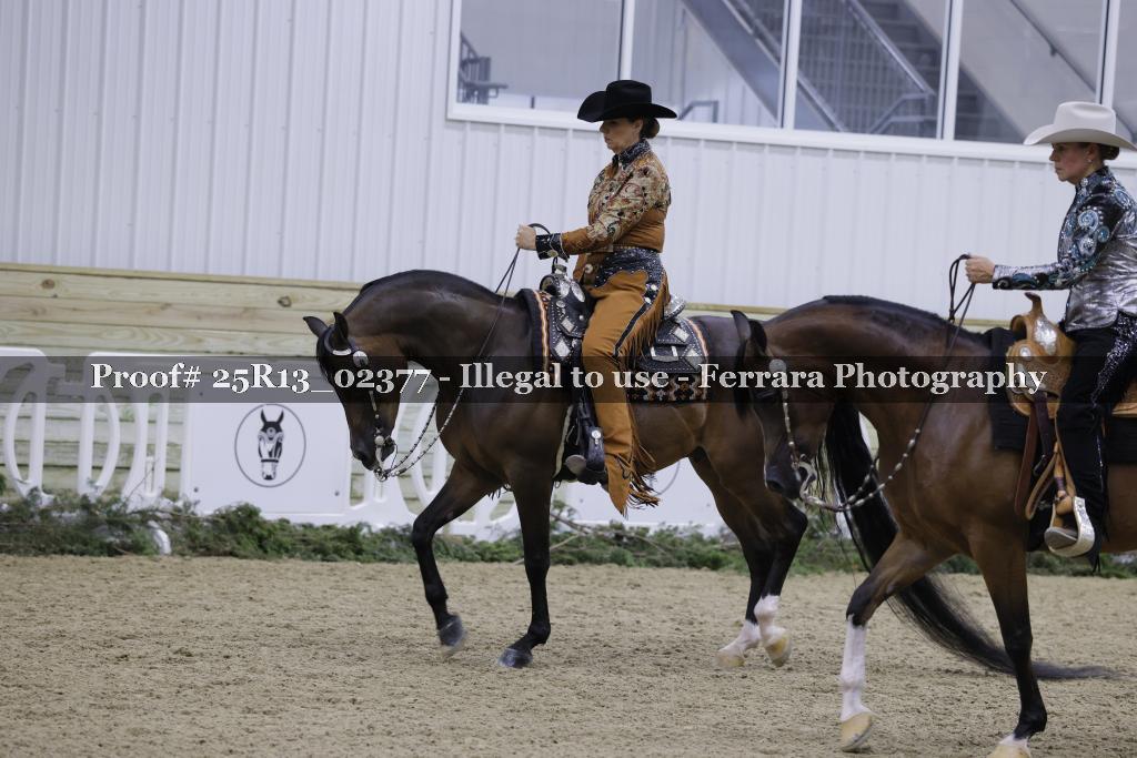 Proof Number 25R13_02377