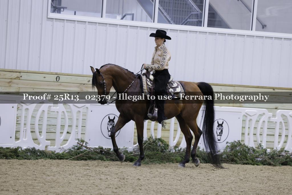 Proof Number 25R13_02379