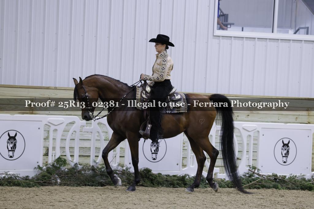 Proof Number 25R13_02381