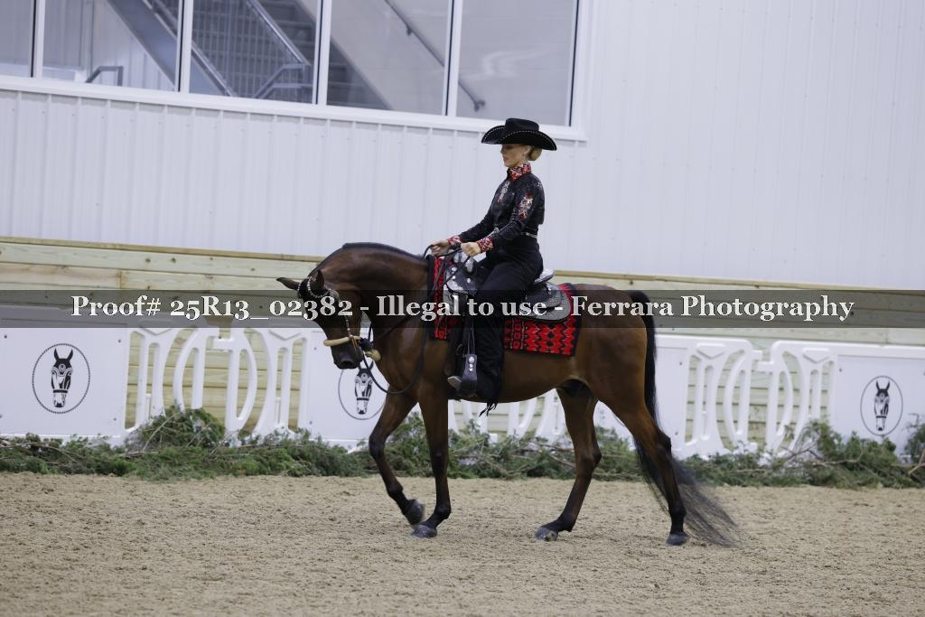 Proof Number 25R13_02382