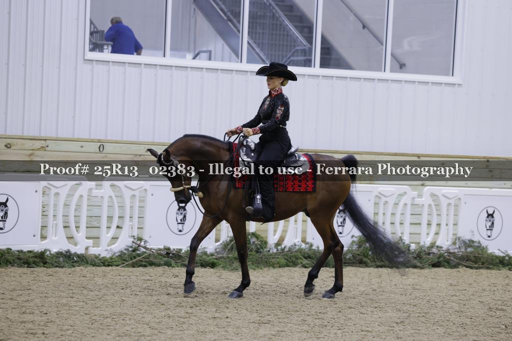 Proof Number 25R13_02383