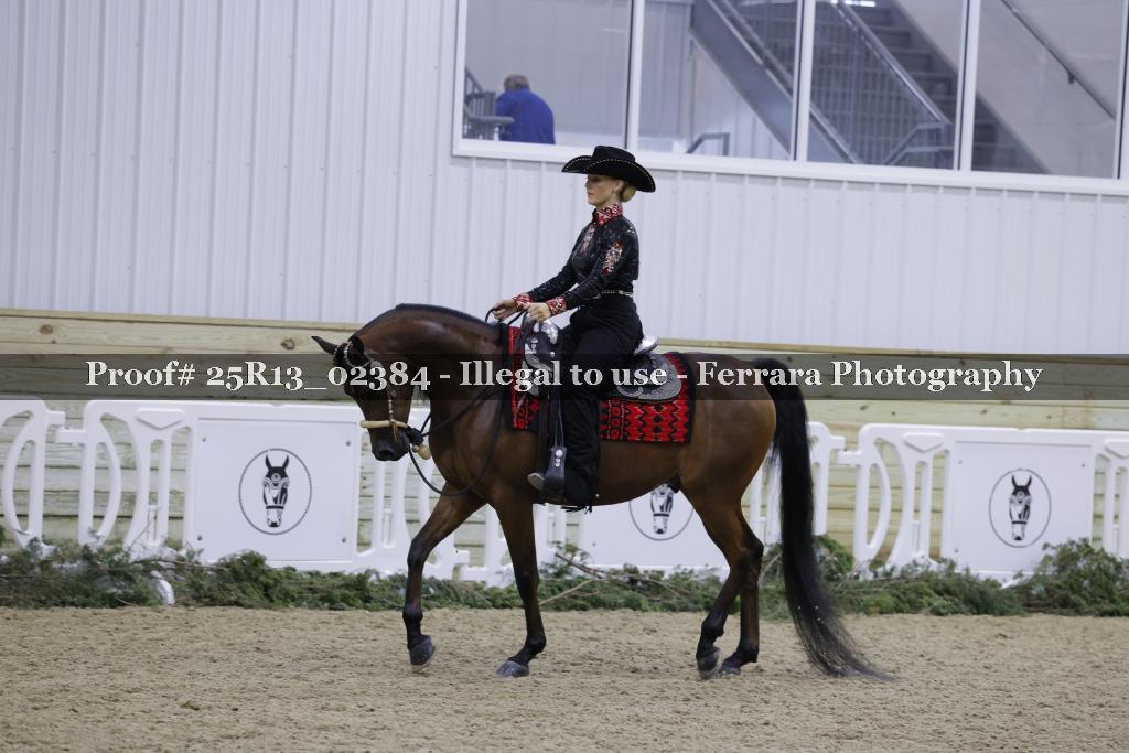 Proof Number 25R13_02384