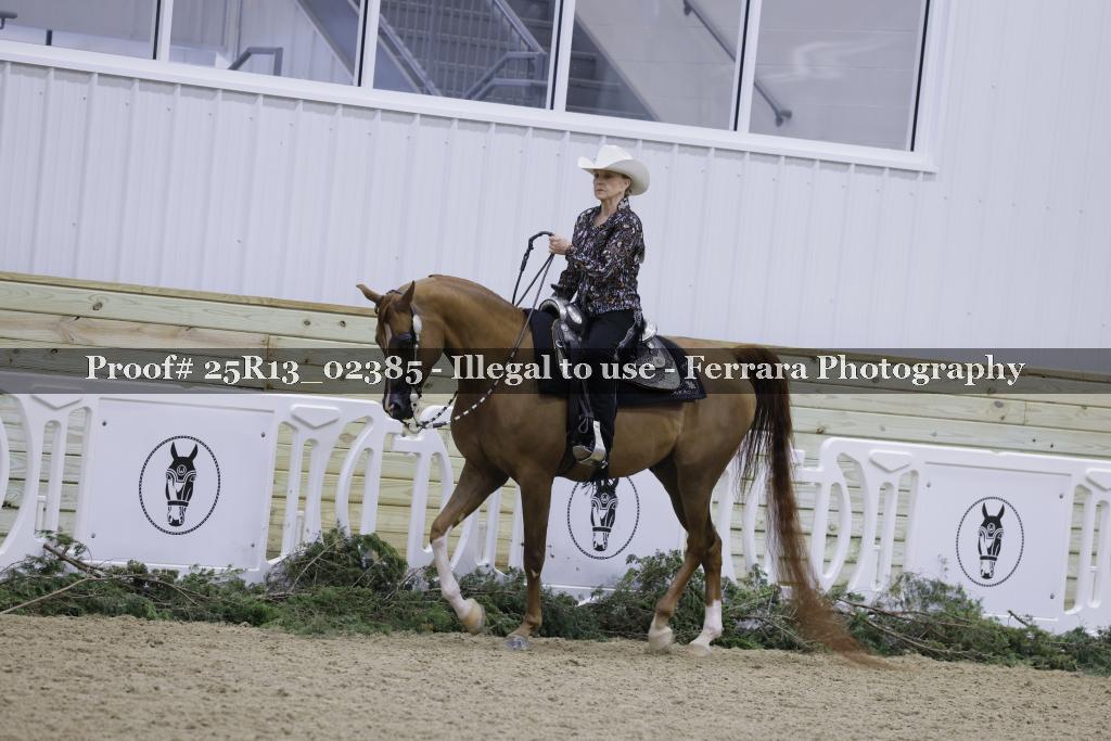 Proof Number 25R13_02385