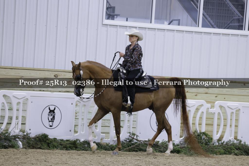 Proof Number 25R13_02386