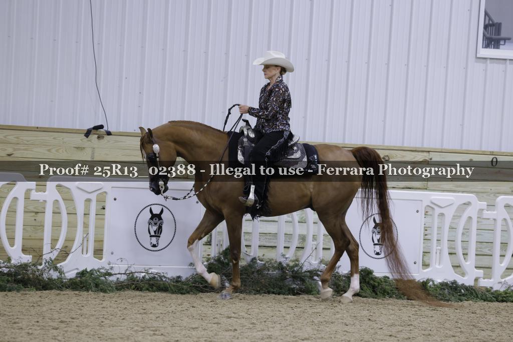 Proof Number 25R13_02388