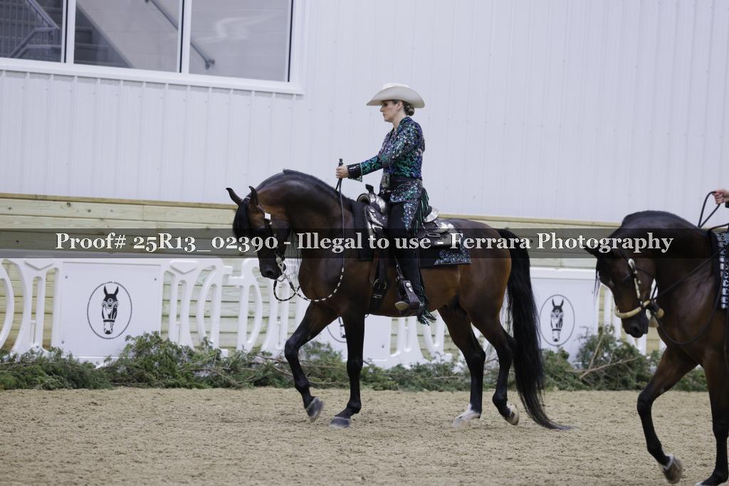 Proof Number 25R13_02390