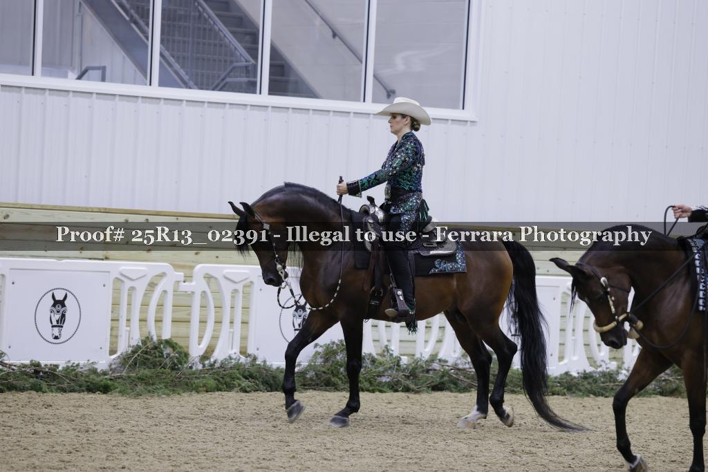 Proof Number 25R13_02391