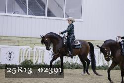 25R13_02391 thumbnail