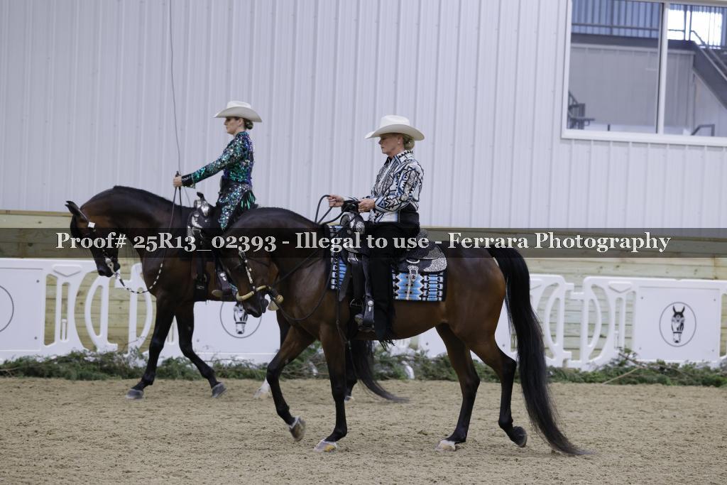 Proof Number 25R13_02393