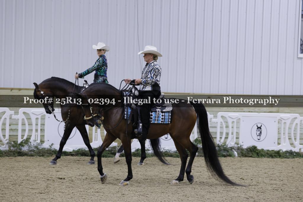Proof Number 25R13_02394
