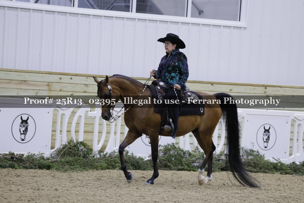 Proof Number 25R13_02395