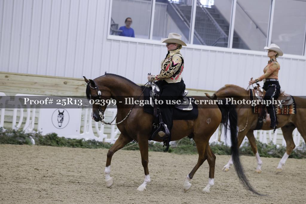 Proof Number 25R13_02399