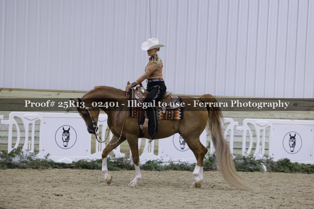 Proof Number 25R13_02401
