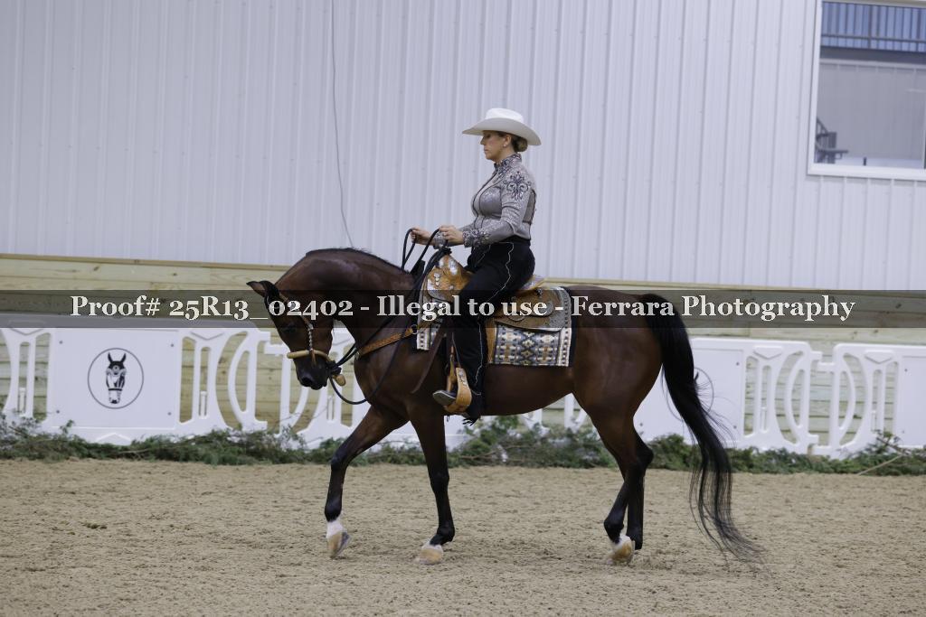 Proof Number 25R13_02402