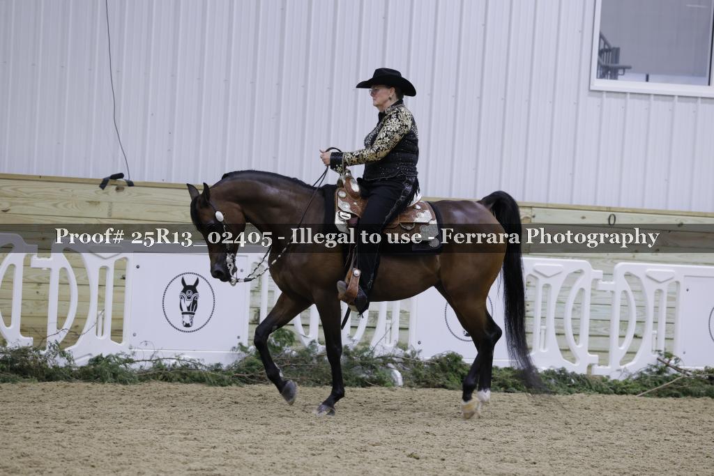 Proof Number 25R13_02405