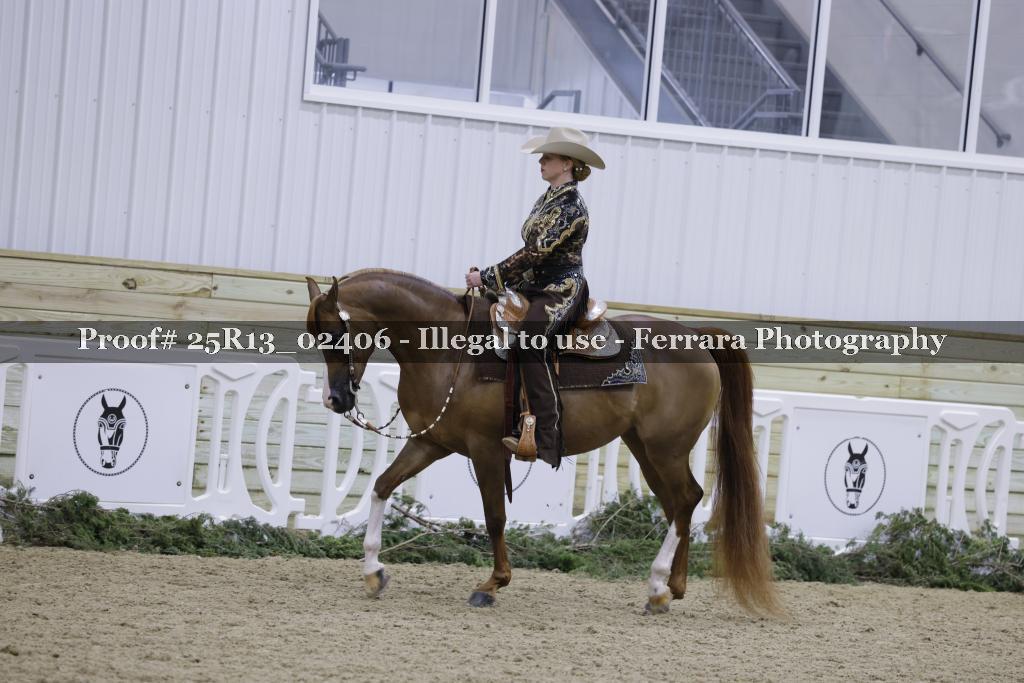 Proof Number 25R13_02406